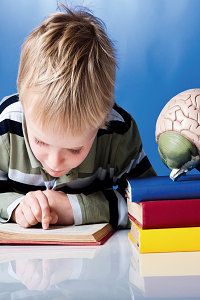 Child bent over open book, finger on page. Next to him model brain on top of books