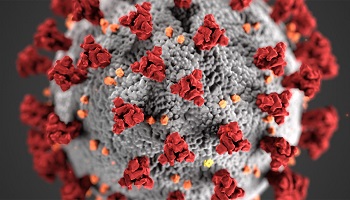 Image of a coronavirus virus