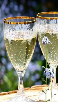Flower in front of two wine glasses containing sparkling wine 