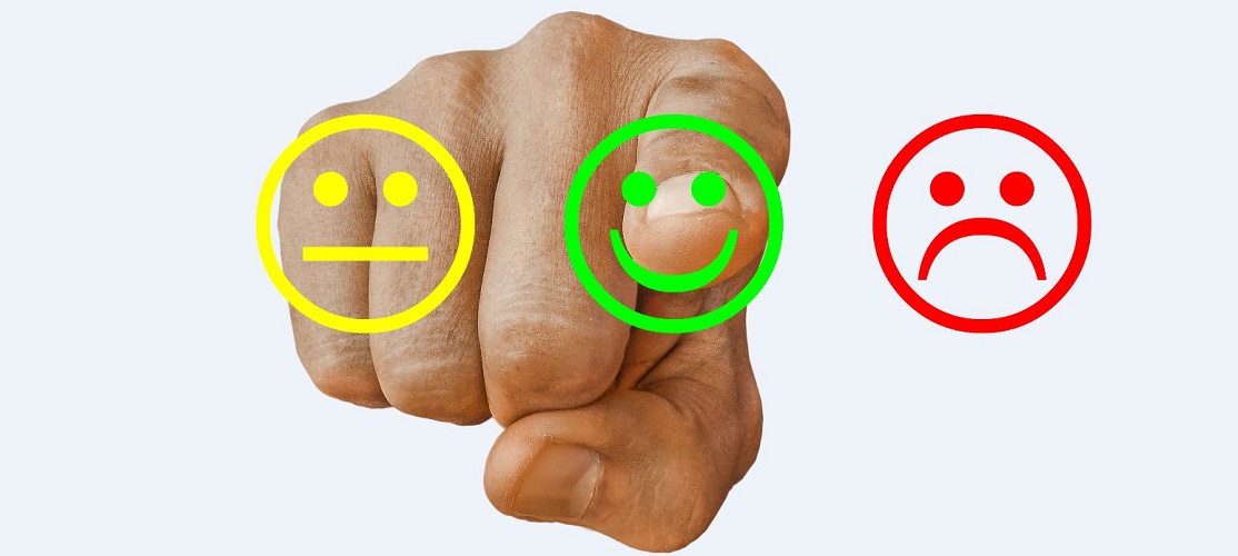 feedback