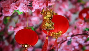 Chinese lanterns and good luck figure hanging from cherry blossom trees