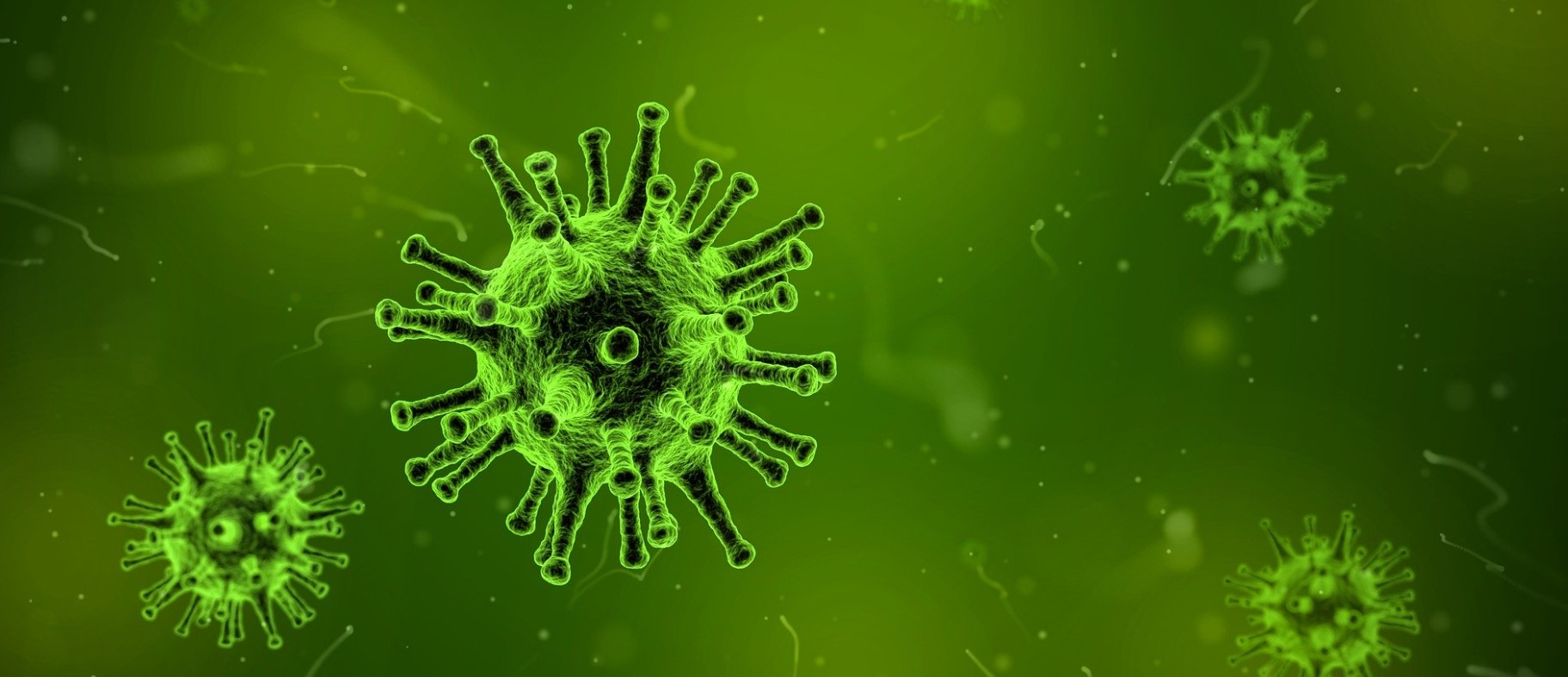 Flu viruses depicted in green